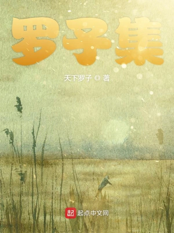 罗子集