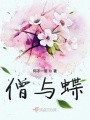 僧与蝶在线阅读