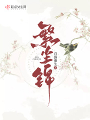 繁尘锦在线阅读