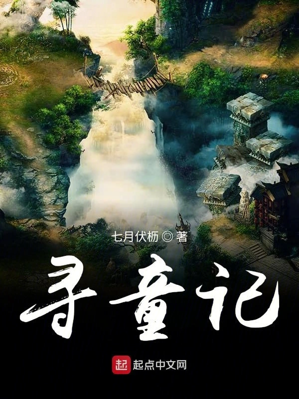 寻童记