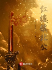 红楼镇北公在线阅读