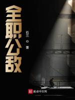 全职公敌最新章节在线阅读