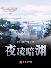 夜凌暗渊