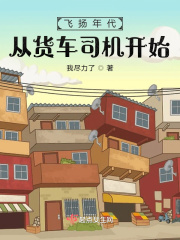 飞扬年代：从货车司机开始在线阅读