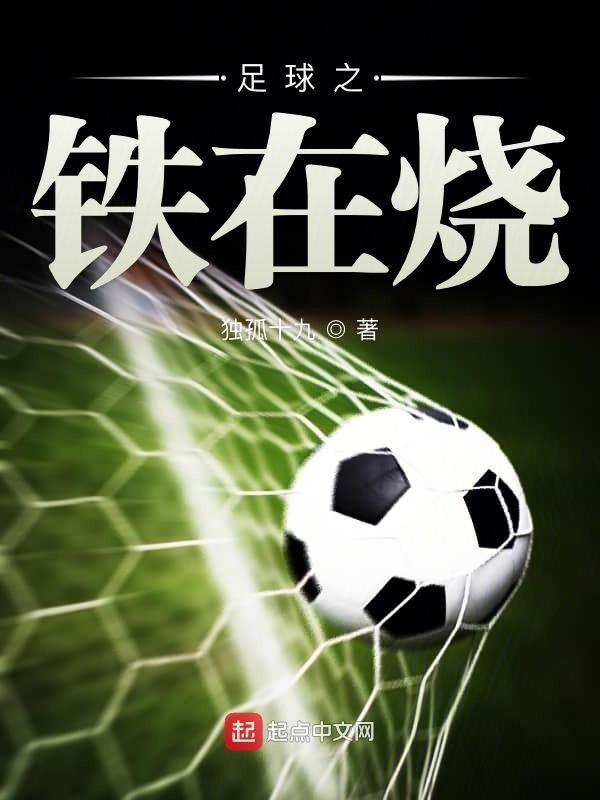 足球之铁在烧在线阅读