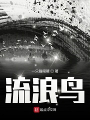 流浪鸟在线阅读