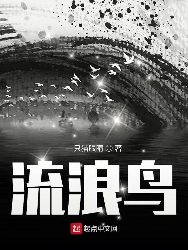 流浪鸟在线阅读