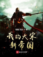 我的大宋新帝国在线阅读