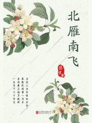 有间文库：北雁南飞