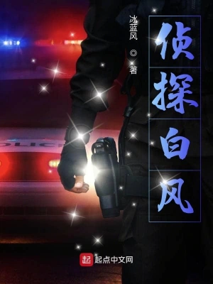 侦探白风
