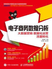 电子商务数据分析：大数据营销 数据化运营 流量转化