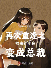 再次重逢之捡来的小白变成总裁