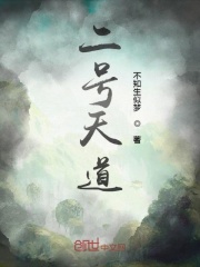 二号天道