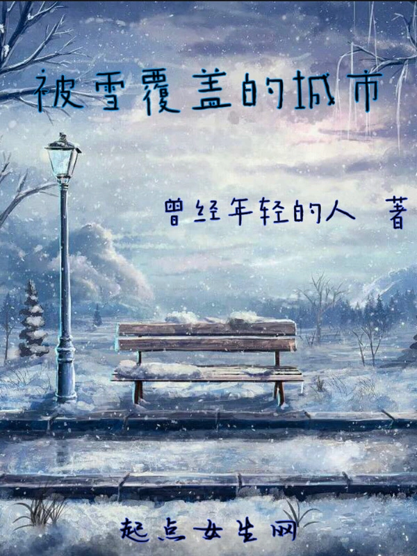 被雪覆盖的城市