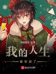 我的人生被安排了在线阅读