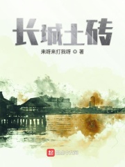 长城土砖在线阅读