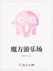 魔方游乐场在线阅读