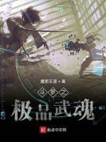 斗罗之极品武魂在线阅读