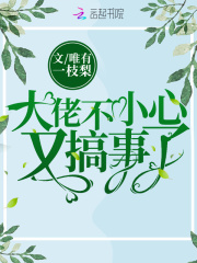 大佬不小心又搞事了在线阅读