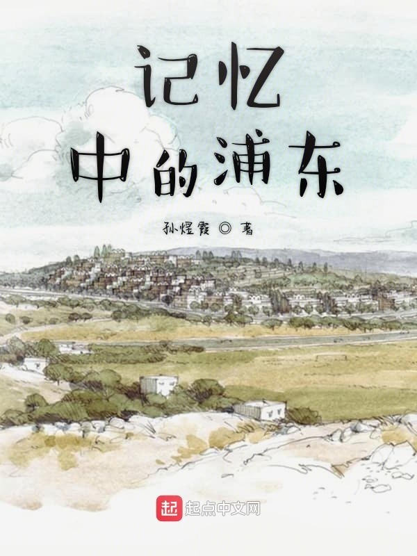 记忆中的浦东在线阅读