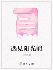 遇见阳光前在线阅读