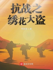 抗战之绣花大盗在线阅读