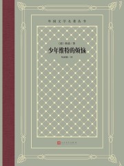 少年维特的烦恼