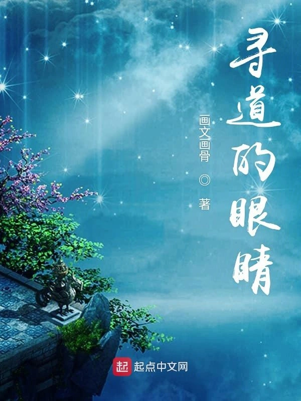 寻道的眼睛