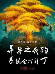 异界之我的系统会打补丁