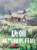 唐朝从当村长开始封面