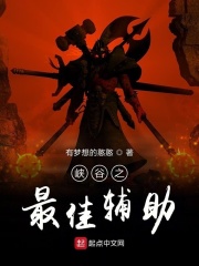 峡谷之最佳辅助在线阅读