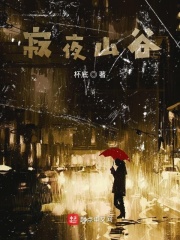 寂夜山谷在线阅读