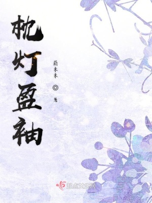 枕灯盈袖 蔚未未著 网游情缘小说 枕灯盈袖无弹窗 起点女生网