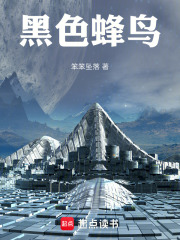黑色蜂鸟在线阅读