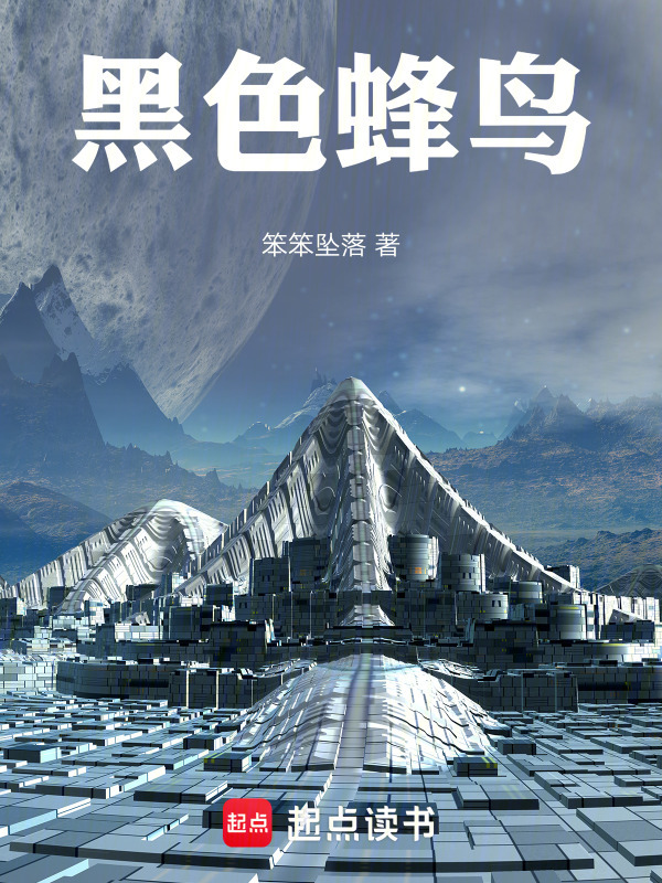 黑色蜂鸟在线阅读