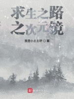 求生之路之次元镜在线阅读