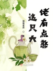 这只大佬有点憨在线阅读