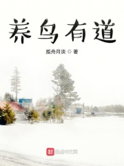 养鸟有道