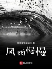 风雨慢慢在线阅读