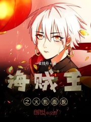海贼王之火影面板在线阅读