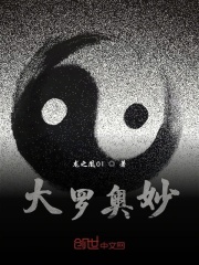 大罗奥妙在线阅读