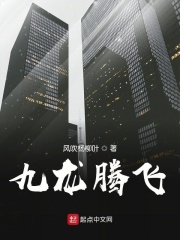 九龙腾飞在线阅读