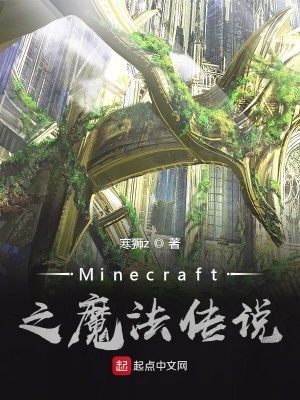 Minecraft之魔法传说 寒狮z著 游戏异界小说 Minecraft之魔法传说无弹窗 起点中文网