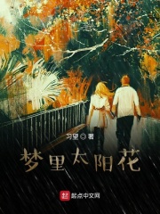 梦里太阳花在线阅读