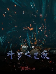 斗罗之星夜