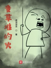 麦草堆的火在线阅读