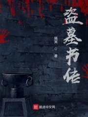 盗墓书传