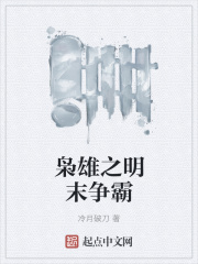 枭雄之明末争霸在线阅读