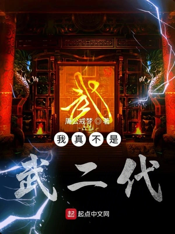 我真不是武二代