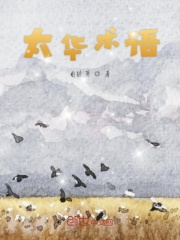 太华术语在线阅读